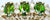 9ct diamond & peridot